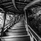 Wooden Stairs of Zenrin-ji