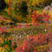 Marshland