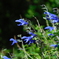 DSCN0153