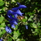 DSCN0155