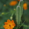花　その95