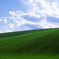 Velvet Hills