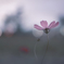 Floated world