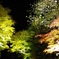 層雲峡紅葉谷 紅葉イルミネーション