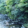 多度川8