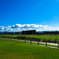 京都競馬場 京都大賞典 2018