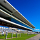 京都競馬場 京都大賞典 2018