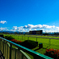 京都競馬場 京都大賞典 2018