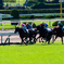 京都競馬場 京都大賞典 2018