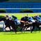 京都競馬場 京都大賞典 2018
