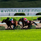 京都競馬場 京都大賞典 2018