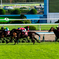 京都競馬場 京都大賞典 2018
