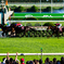 京都競馬場 京都大賞典 2018