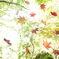 蜘蛛の芸術家