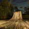 Bamboo Fall2
