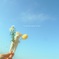 今日のお花　ネズミに持たせた編