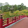 紅葉谷公園