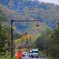 工事車両行き交う紅葉の国道