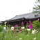 般若寺（コスモス寺）