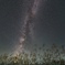 秋の夜風を感じながら･･･