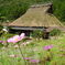 DSCN0612　美山の風景