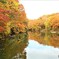 紅葉の池