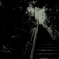 等々力渓谷　【2010/10/02】