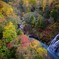 紅葉の滝