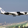 ANA B767-381ER "FLY! Panda"（KIX）