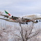 エミレーツ航空　さくらに降りる
