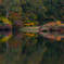 Autumn coloring