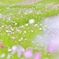 　そよぐ時　・・・