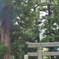 鳴谷神社2