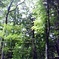 090804_1302_00010002