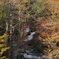 滝と紅葉