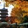 寛永寺 上野-2
