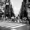 Ricohflex Ⅶ #01