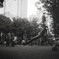 Ricohflex Ⅶ #04