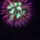 秋の花火