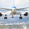 landing