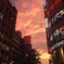 新宿の夕焼け