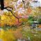 2017-日比谷公園-2