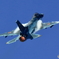 芦屋基地航空祭