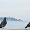 鳩と江ノ島