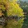 オンネトー湖の秋
