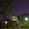 夜の歴史公園