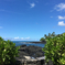 hawaii Big island