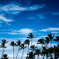 hawaii Big island