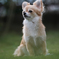 EF70-200mm F2.8L IS II USM with X-T20