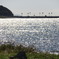 秋の海